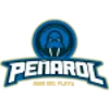 佩纳罗尔LDD